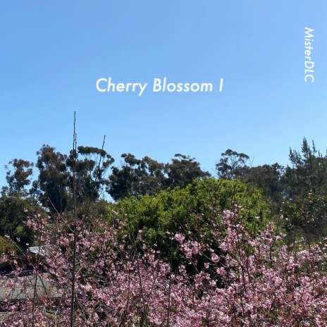 Cherry Blossom 1 | Boomplay Music