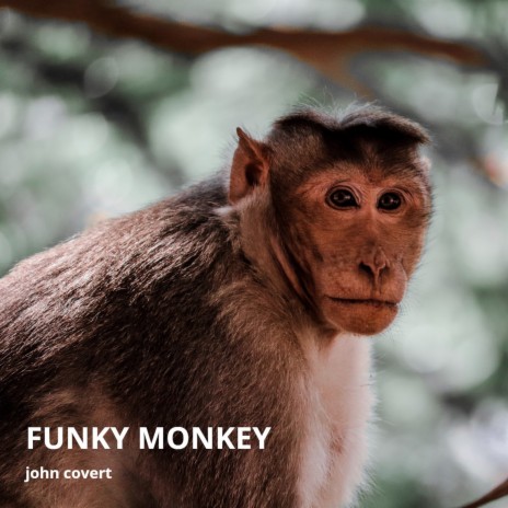 Funky Monkey | Boomplay Music