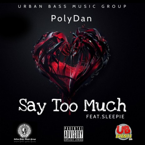 Say Too Much (Radio Edit) | Boomplay Music