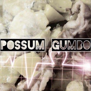 Possum Gumbo