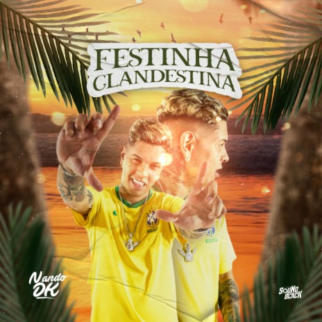 Festinha Clandestina | Boomplay Music