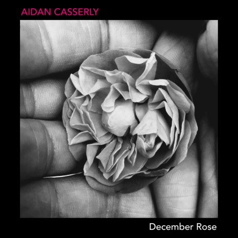 December Rose | Boomplay Music
