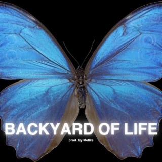 Backyard of Life Remix