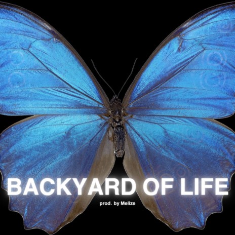 Backyard of Life Remix | Boomplay Music