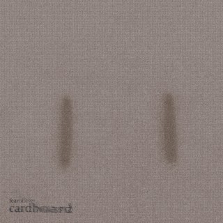 CARDBOARD lyrics | Boomplay Music