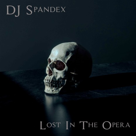 Lost In The Opera | Boomplay Music