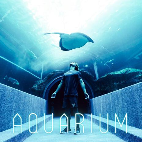 Aquarium | Boomplay Music