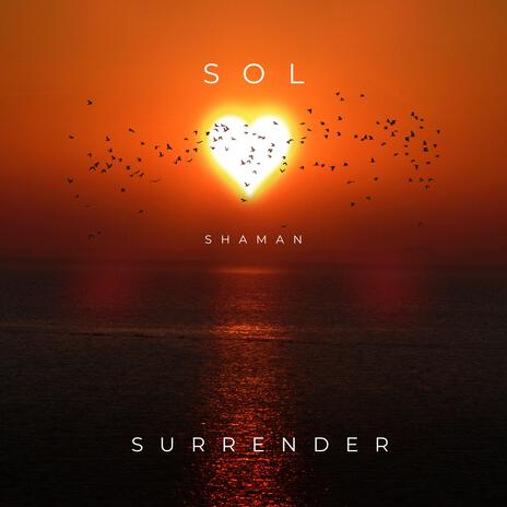 Surrender | Boomplay Music