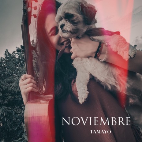 Noviembre | Boomplay Music