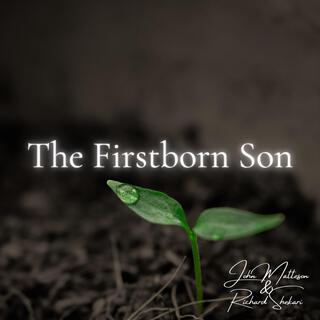 The Firstborn Son (with John Matteson)