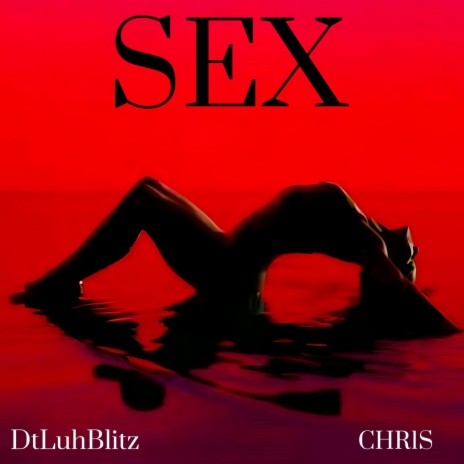 SEX (DtLuhBlitz) | Boomplay Music