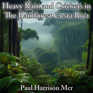 Heavy Rain and Crickets in The Rainforest Costa Rica