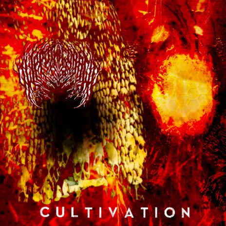 Cultivation | Boomplay Music