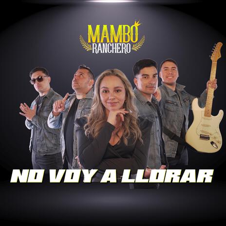 No voy a llorar | Boomplay Music