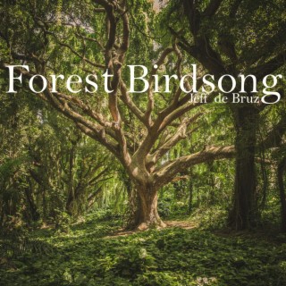 Forest Birdsong