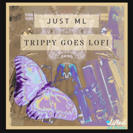 Trippy Goes Lofi ft. Lifted LoFi | Boomplay Music