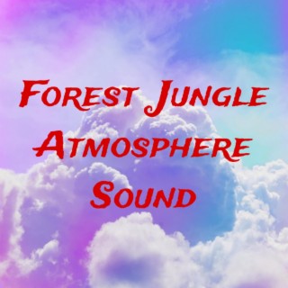 forest jungle atmosphere sound