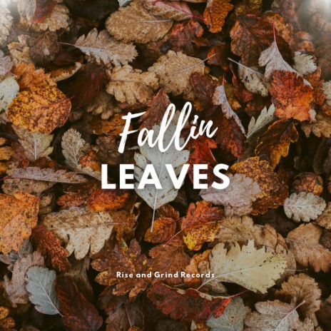 Fallin Leaves | Boomplay Music