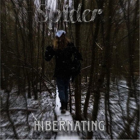 Hibernating | Boomplay Music