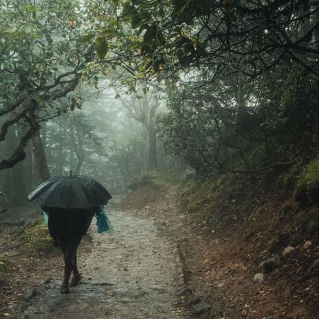 Al otro lado de la niebla | Boomplay Music