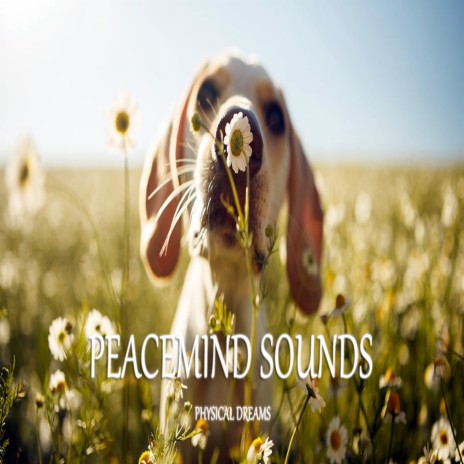 Peacemind Sounds | Boomplay Music