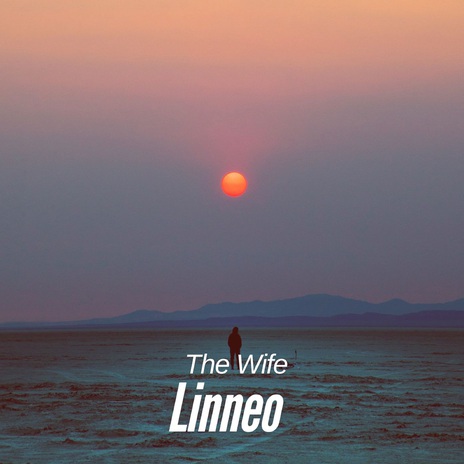 The Wife | Boomplay Music