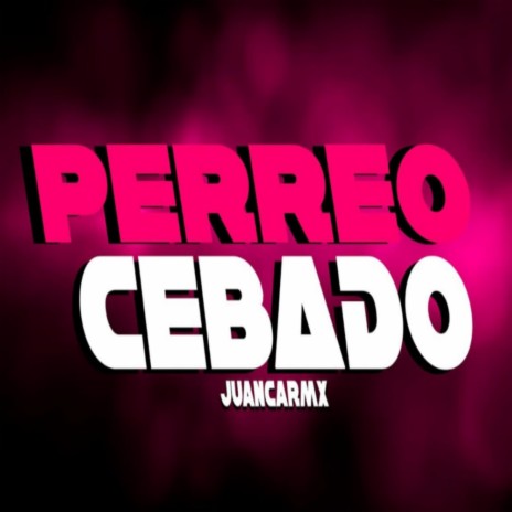 PERREO CEBADO | Boomplay Music