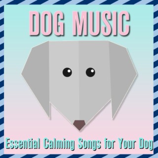 Dog Music: Essential Calming Songs for Your Dog