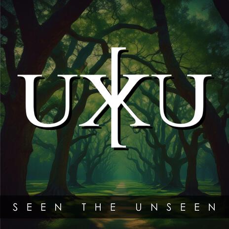 Seen the Unseen | Boomplay Music