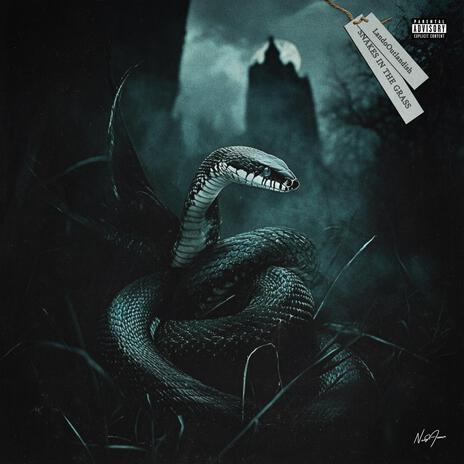 Snakes In The Grass | Boomplay Music