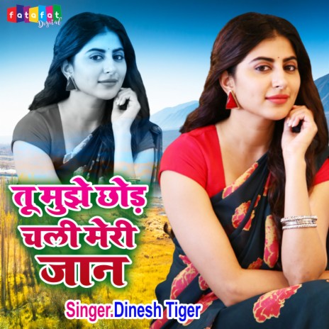 Tu Mujhe Chhod Chali Meri Jaan | Boomplay Music
