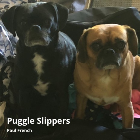 Puggle Slippers | Boomplay Music