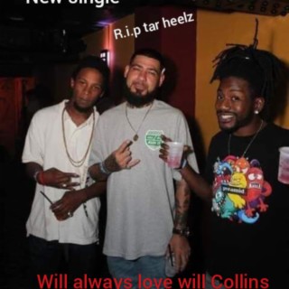 Will Always Love Will Collins