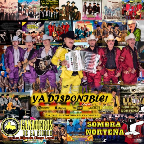 Las Calles De Chihuahua (En vivo) | Boomplay Music