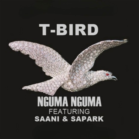 Nguma Nguma ft. Saani & Sapark | Boomplay Music