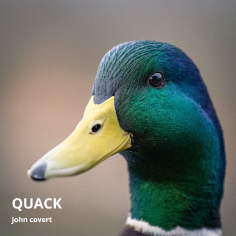 Quack | Boomplay Music