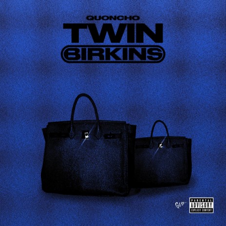 Twin Birkins | Boomplay Music