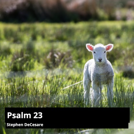 Psalm 23 | Boomplay Music