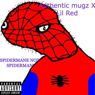 SPIDERMANE NOT SPIDERMAN