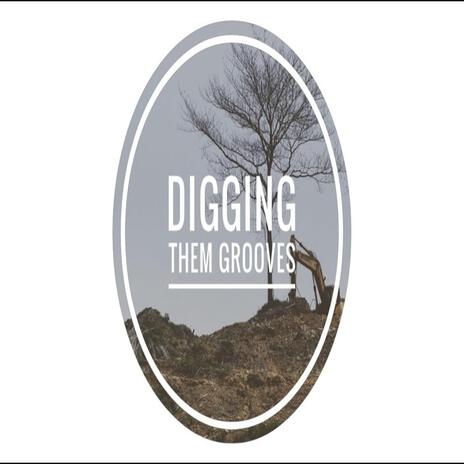 DIGGING IT | Boomplay Music