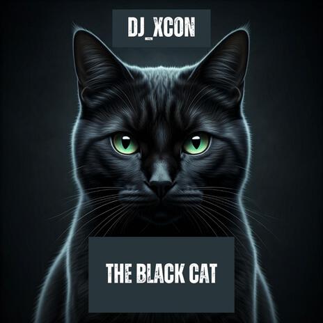 The Black Cat | Boomplay Music