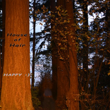 Happy :) | Boomplay Music