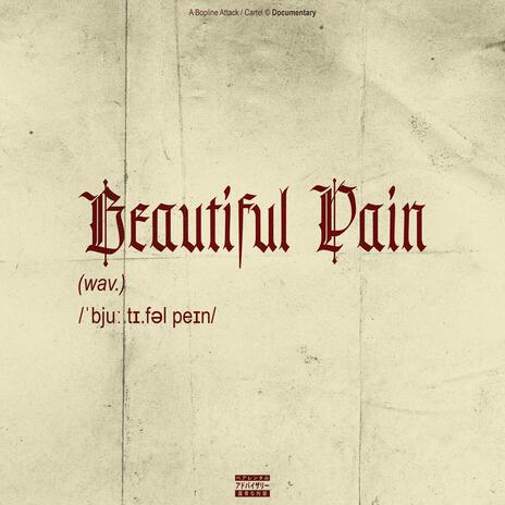 Beautiful Pain | Boomplay Music