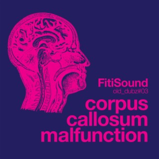 Corpus Callosum Malfunction