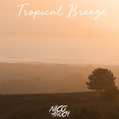 Tropical Breeze | Boomplay Music