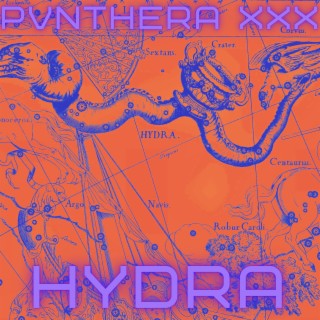 Hydra