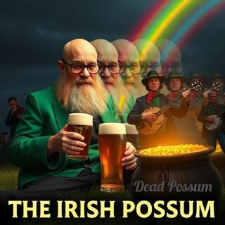 The Irish Possum