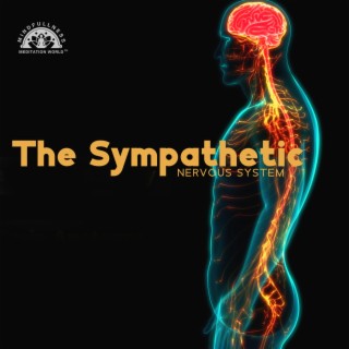 The Sympathetic Nervous System: Understanding, Feeling and Accepting Your Emotions, Volume 1, Psychotherapy Exercises at Home