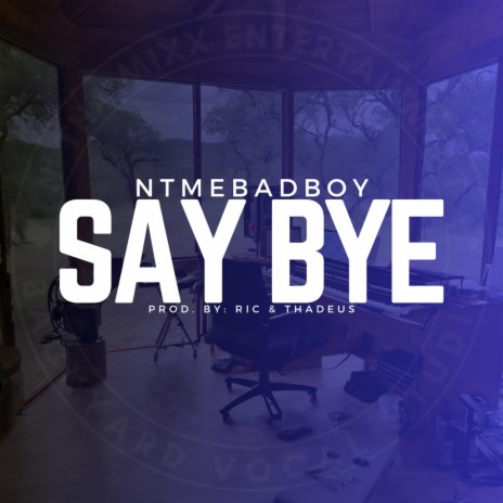 Say bye | Boomplay Music