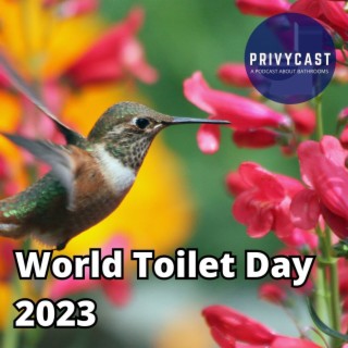 World Toilet Day 2023